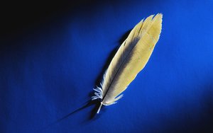 長春市健身有限責任公司